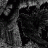 corbeau