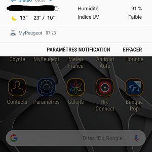 916287POUCES_LI
