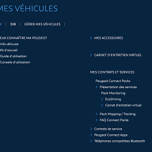 mypeugeot 308 SMEG+