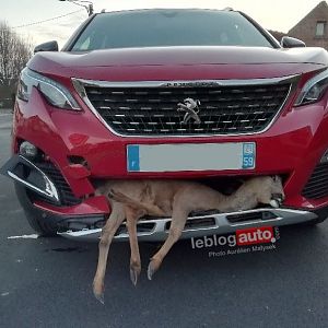 3008_LBA