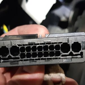 C1