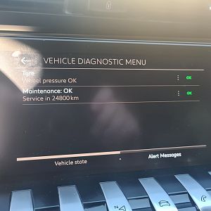 Diag Menu 2