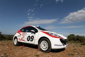 Peugeot 207 RC Rallye