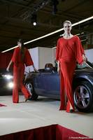 Cabrio Show 2007
