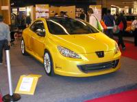 peugeot_307sbarro-01.jpg