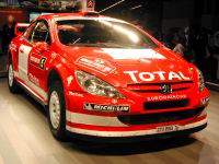 peugeot_307wrc-01.jpg