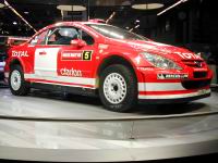 peugeot_307wrc-02.jpg