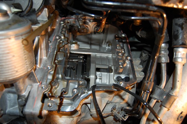 DSC_0897.jpg