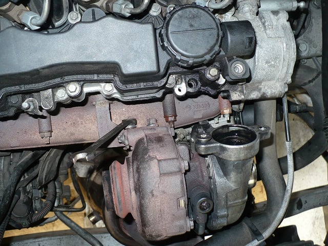 P1090175A.jpg