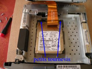 petitstournevis.jpg