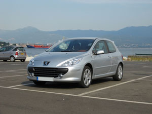 peugeot 307 Feline