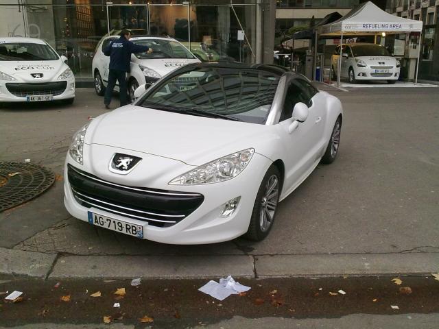 Peugeot Eco Cup 2010
