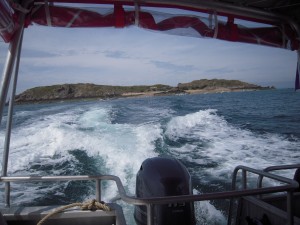 DSCN0052