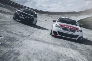 308 racing cup