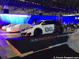 Peugeot 308 Racing Cup