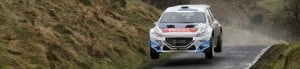 peugeot rally academy