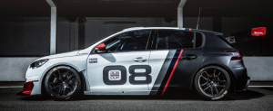 peugeot 308 racing cup