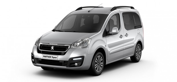 Peugeot Partner Tepee Gris Aluminium