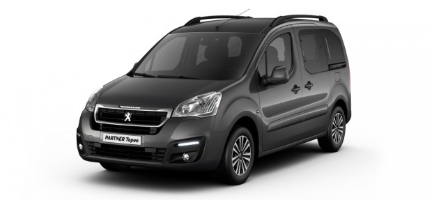 Peugeot Partner Tepee Gris Shark
