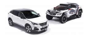 peugeot 3008 dkr