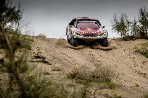 silk way rally