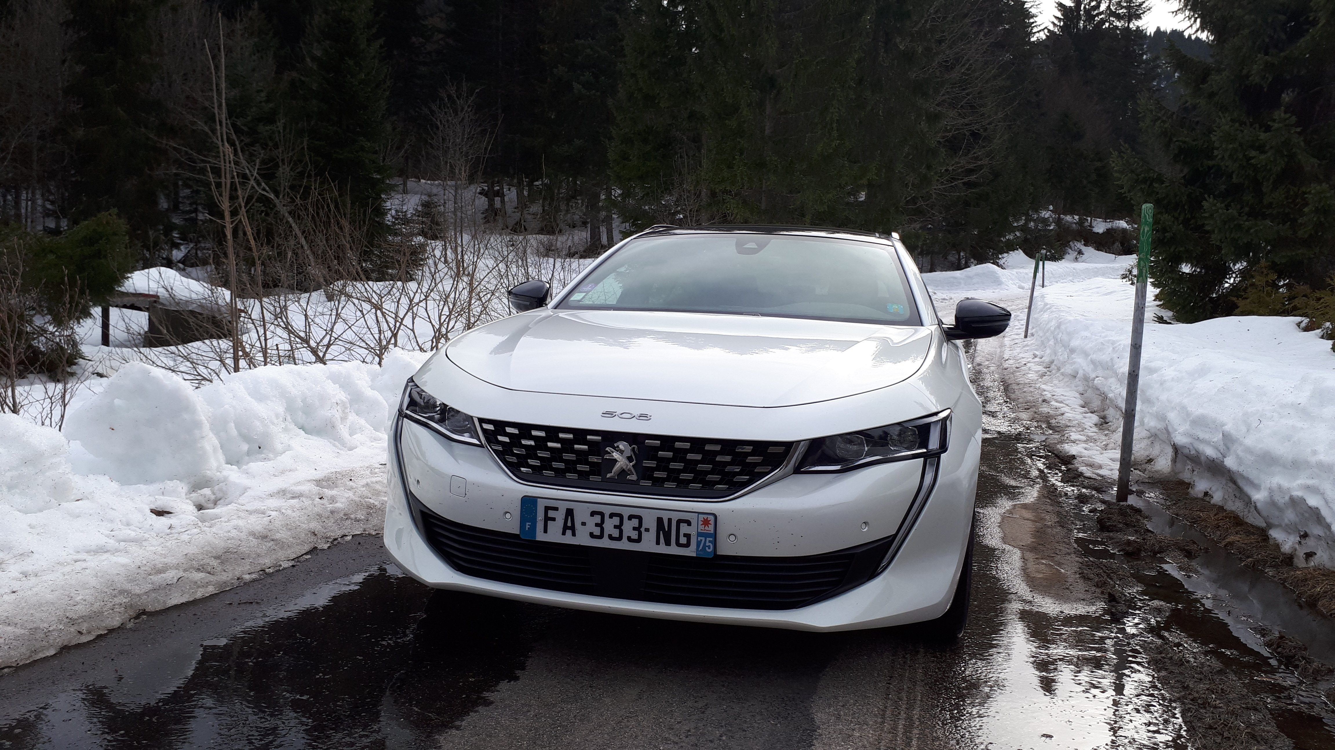 20190306_151441.jpg