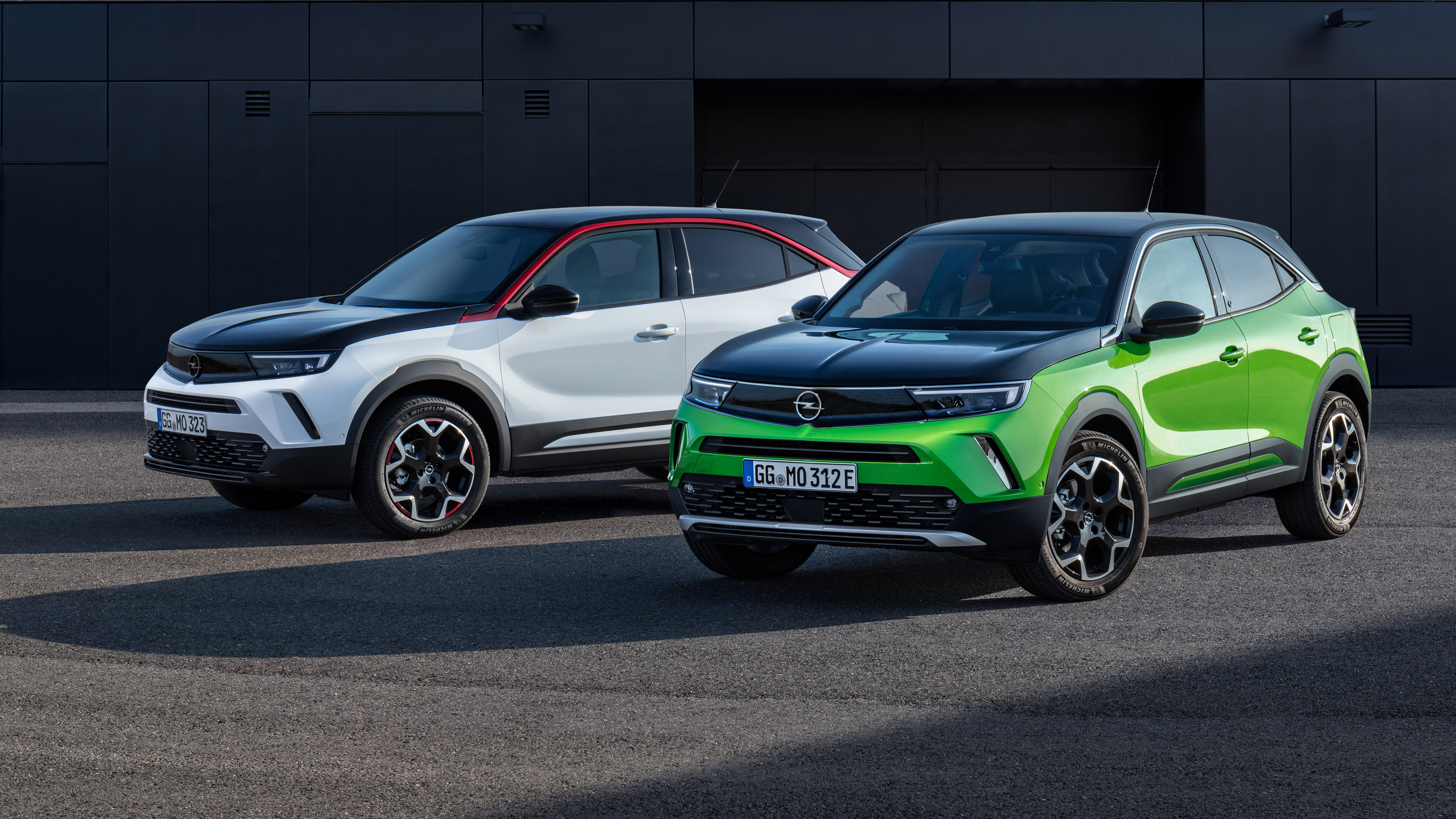 puma vs mokka