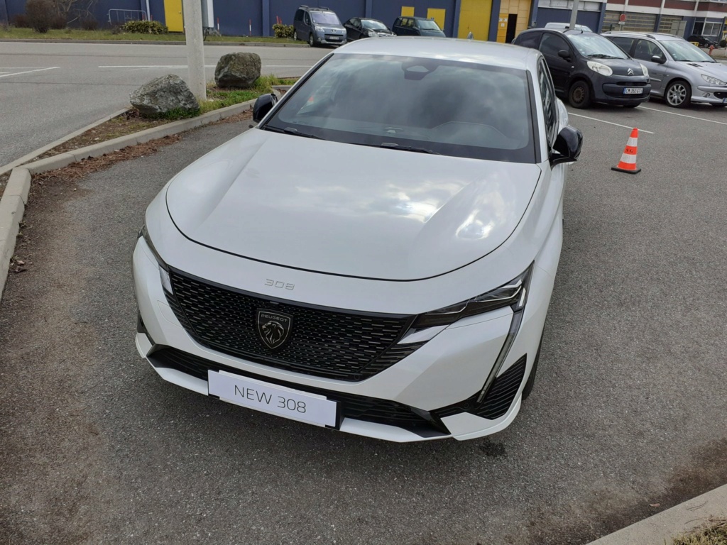 d2279810.jpg