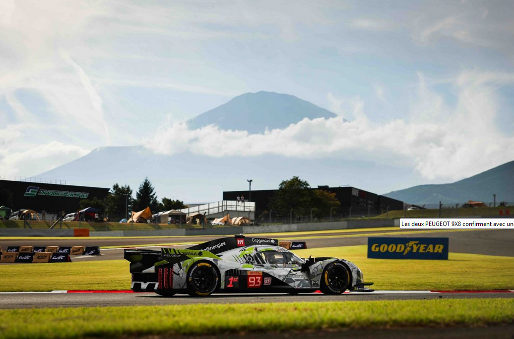 Les 6 Heures de Fuji : Peugeot sur le podum