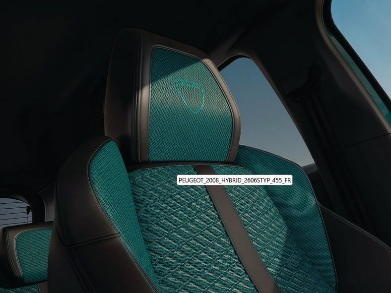 Sellerie Peugeot Envy